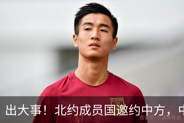 出大事！北约成员国邀约中方，中文接待王毅，中欧不该走向对立？